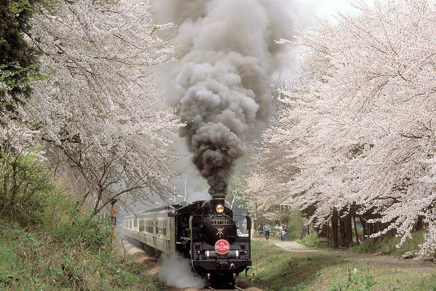 2002/4/14 五十島-咲花