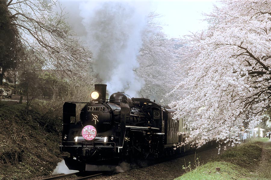 2005/4/24 咲花-東下条